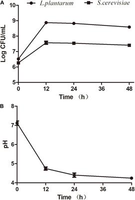 Hypolipidemic Effects of Fermented Seaweed Extracts by Saccharomyces cerevisiae and Lactiplantibacillus plantarum